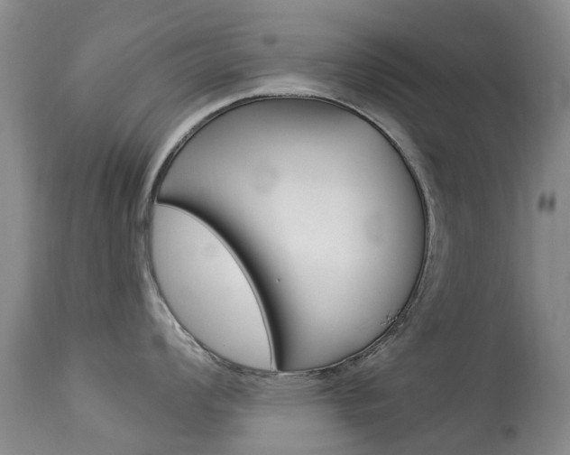 X0000113941008200909250935