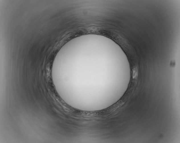 X0000113941011200909250934