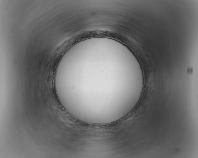 X0000113941014200909250934