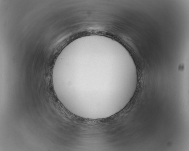 X0000113941015200909250934