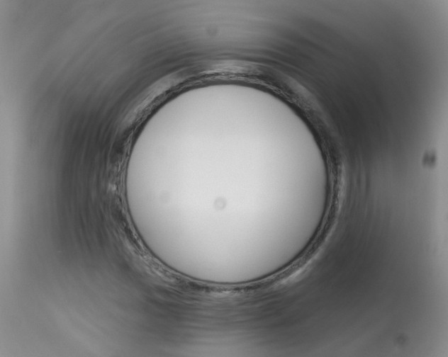 X0000113941017200909250934
