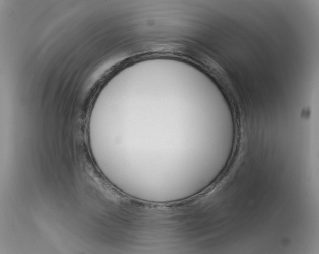 X0000113941019200909250934