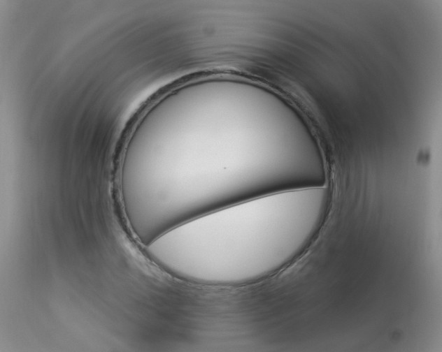 X0000113941020200909250934