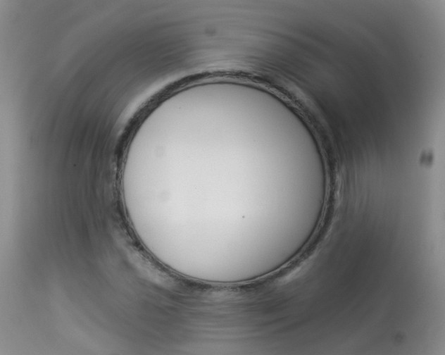 X0000113941021200909250934