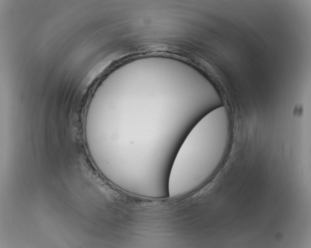 X0000113941023200909250934