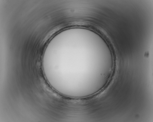 X0000113941025200909250934