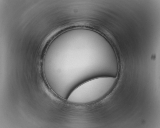 X0000113941029200909250934