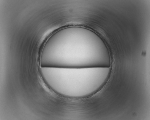 X0000113941030200909250934