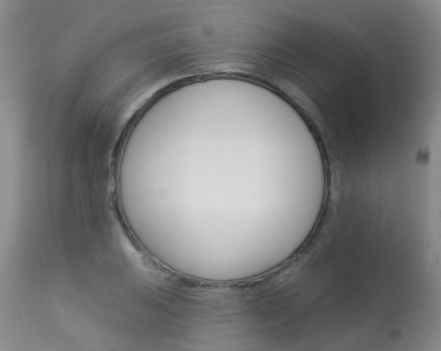 X0000113941031200909250934