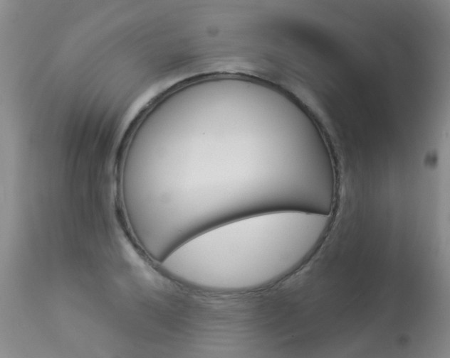 X0000113941032200909250934