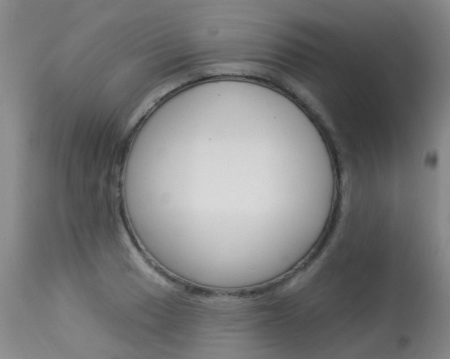 X0000113941033200909250934