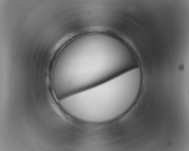 X0000113941034200909250934