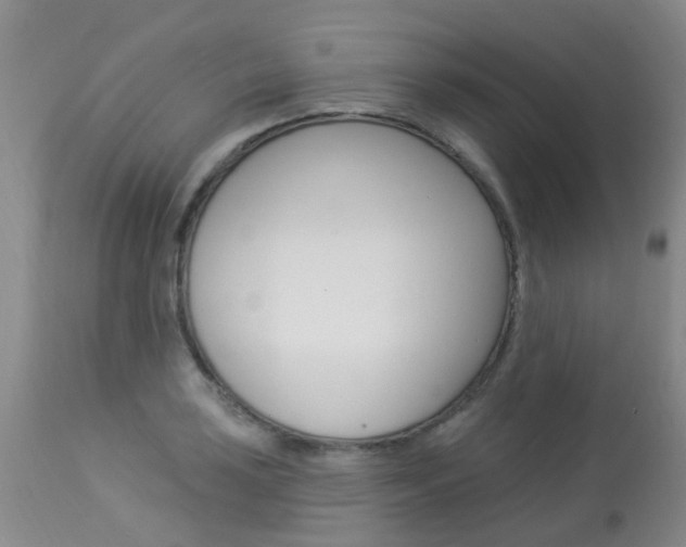 X0000113941035200909250934