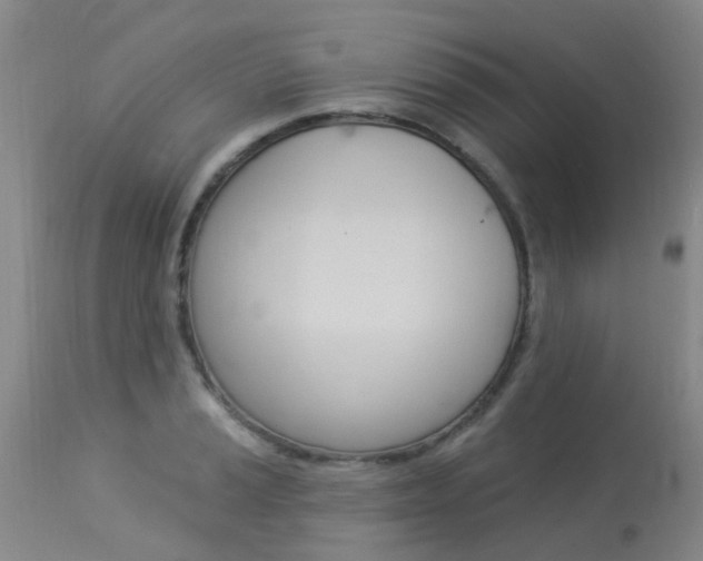 X0000113941037200909250934