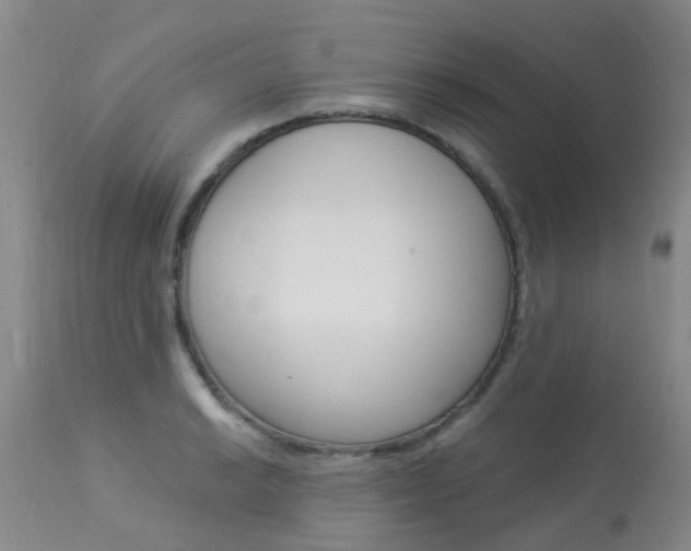 X0000113941038200909250934