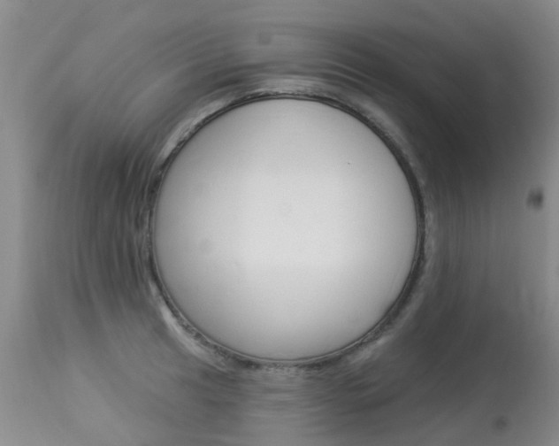 X0000113941041200909250934