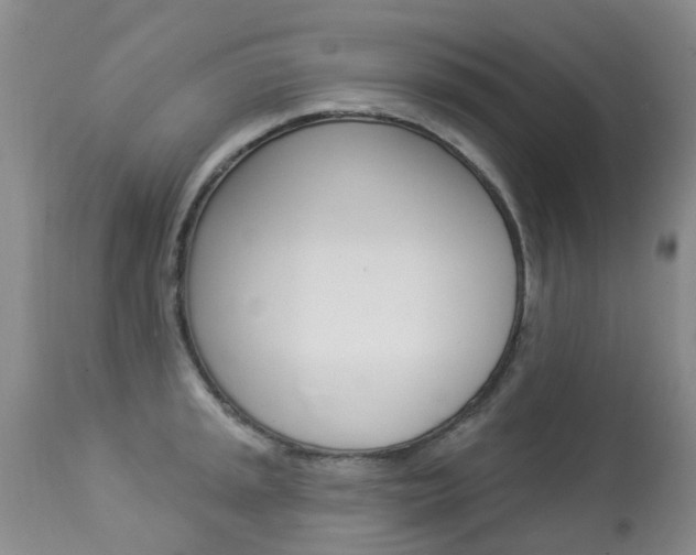 X0000113941045200909250934