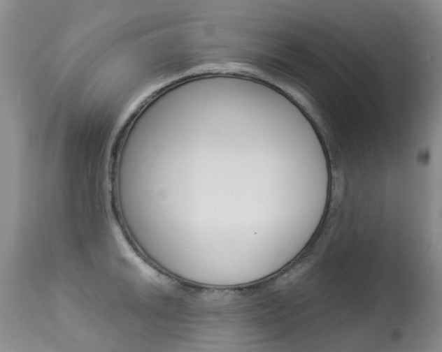 X0000113941046200909250934