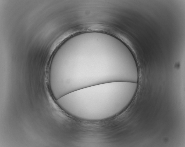 X0000113941047200909250934