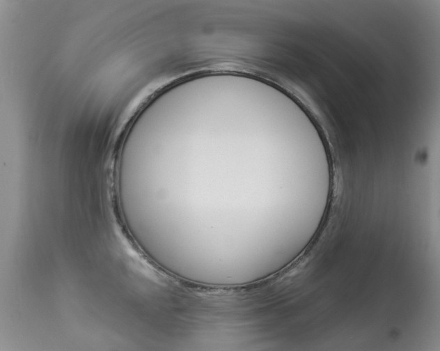X0000113941048200909250935