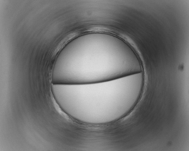 X0000113941049200909250935
