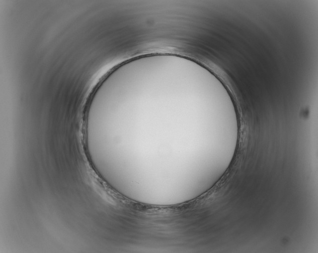 X0000113941051200909250935