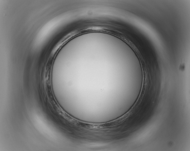 X0000113941052200909250935