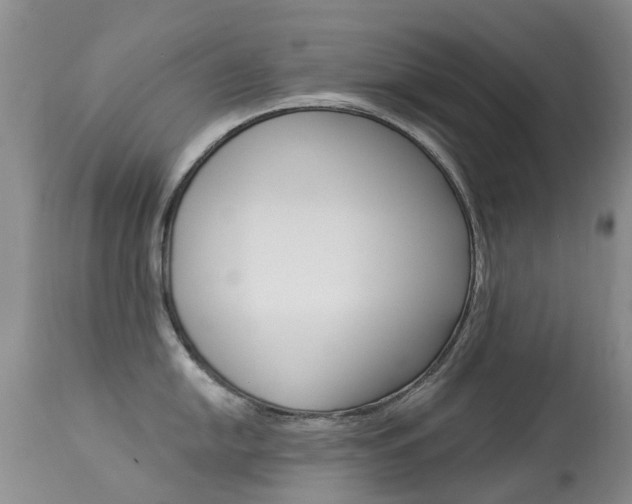X0000113941054200909250935