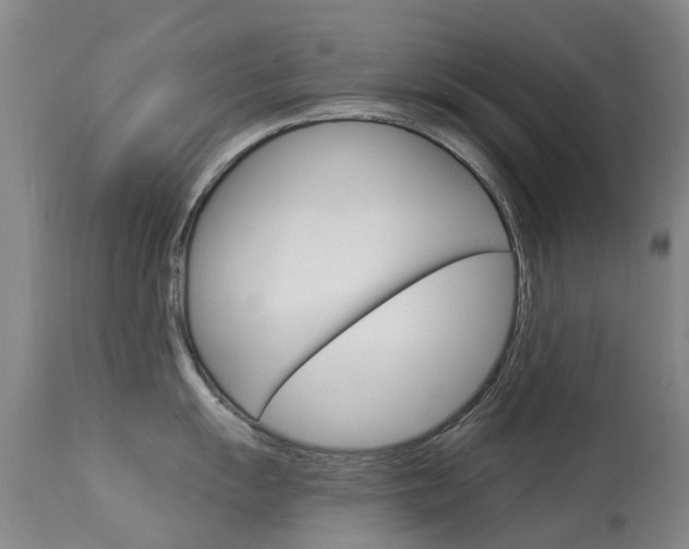 X0000113941055200909250935