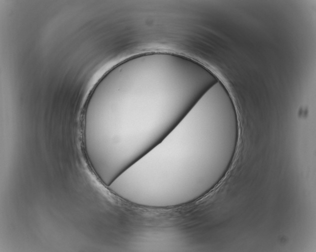 X0000113941056200909250935
