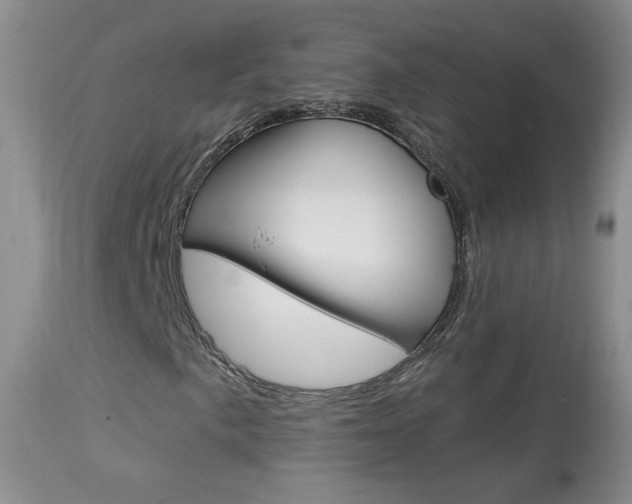 X0000113941057200909250934