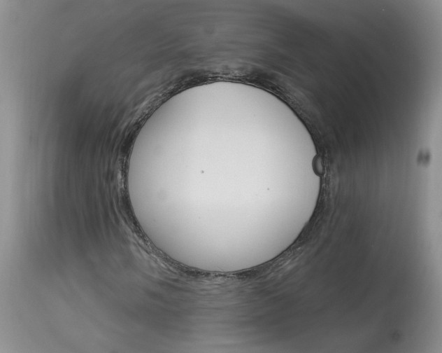 X0000113941058200909250934