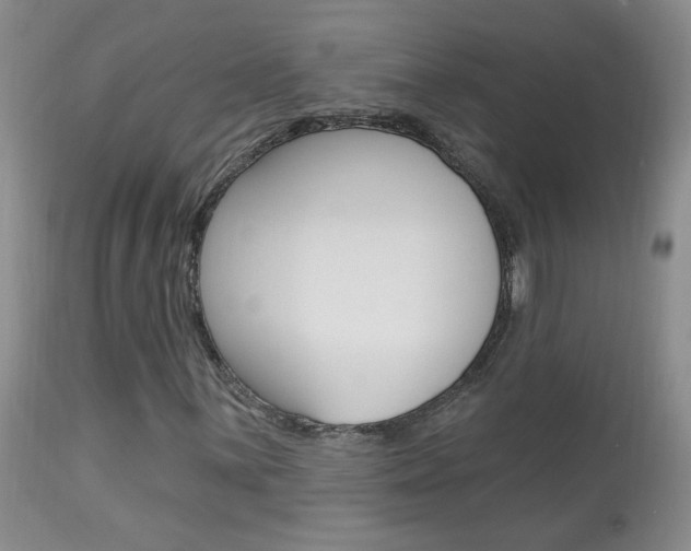 X0000113941059200909250934