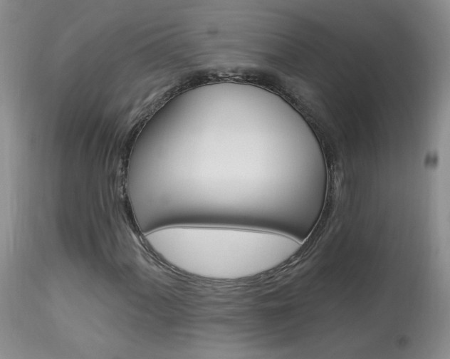 X0000113941060200909250934