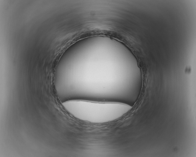 X0000113941061200909250934