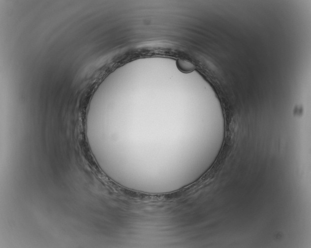 X0000113941062200909250934