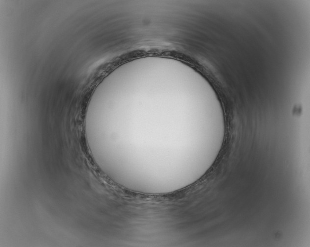 X0000113941063200909250934