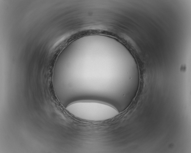 X0000113941064200909250934