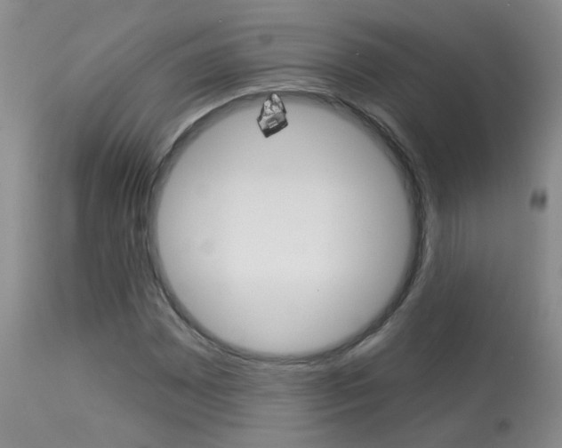 X0000113941065200909250934