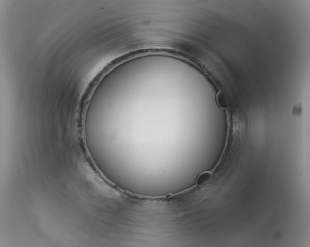 X0000113941068200909250934
