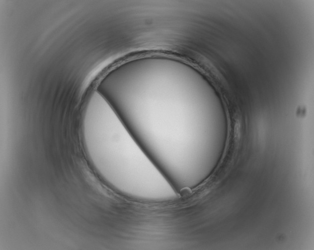 X0000113941069200909250934