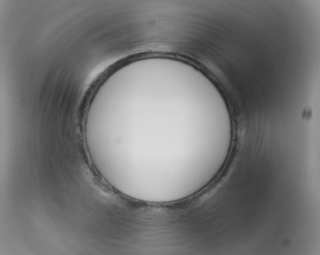 X0000113941070200909250934
