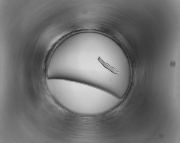 X0000113941071200909250934