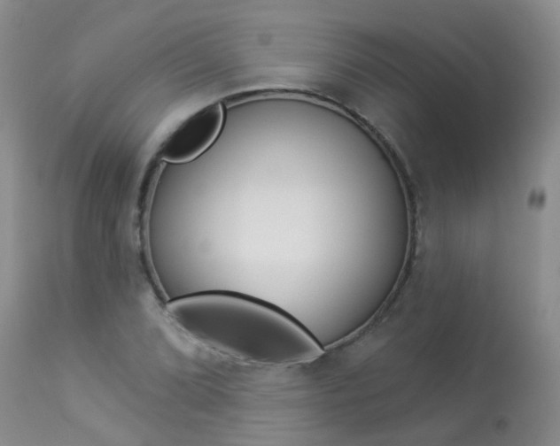 X0000113941072200909250934