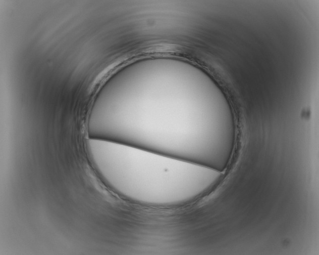 X0000113941073200909250934