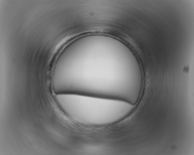 X0000113941075200909250934