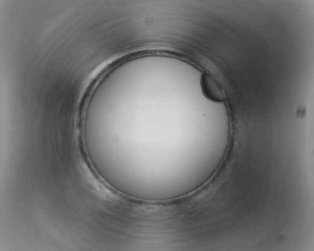 X0000113941076200909250934