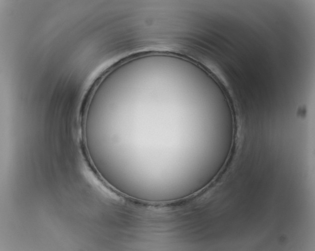 X0000113941080200909250934
