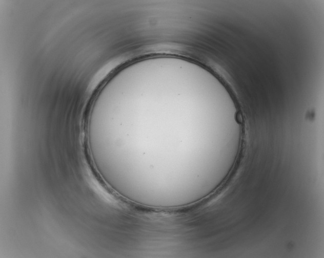X0000113941082200909250934