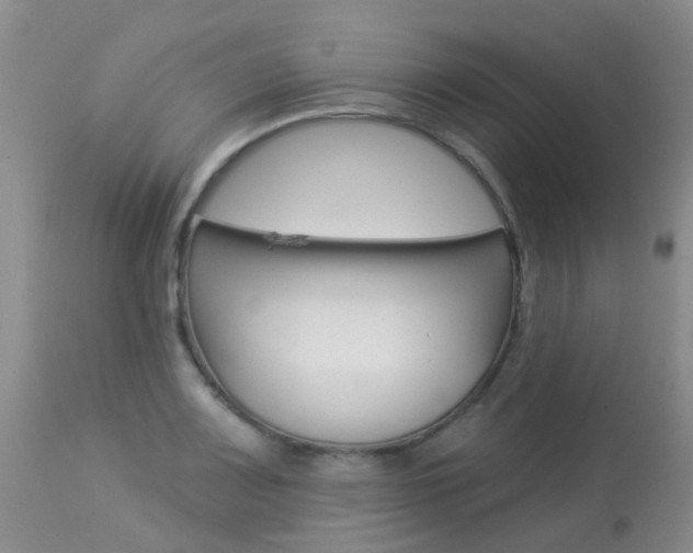 X0000113941083200909250934